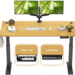 Fezibo Height Adjustable Electric Standing Desk